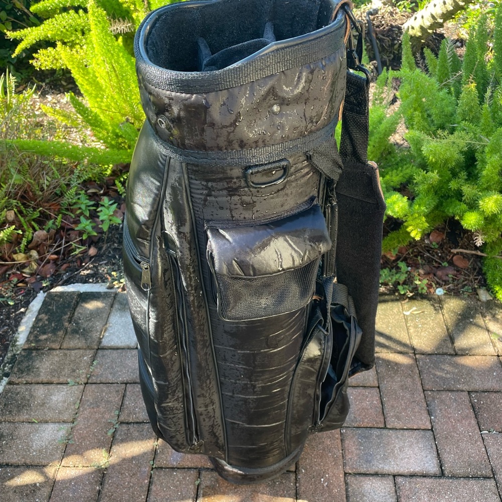 Golf cart bag by Miller Golf 
With 6 Club dividers - Picture 2 of 11